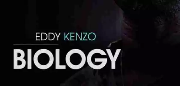 Eddy Kenzo - The Heat